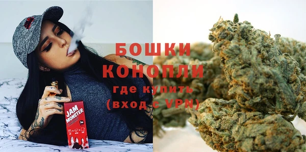 винт Новозыбков