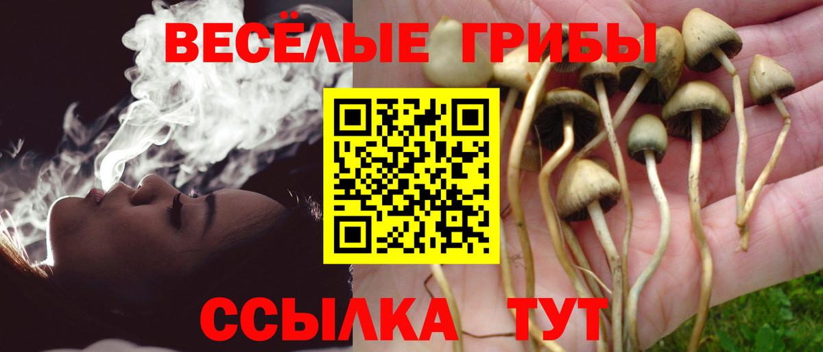 Галлюциногенные грибы MAGIC MUSHROOMS Таганрог